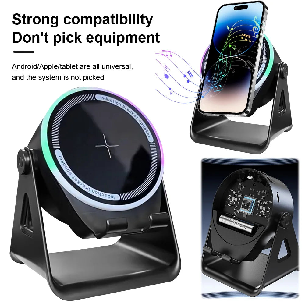 Wireless Induction Speaker, Bluetooth, Home and Outdoors