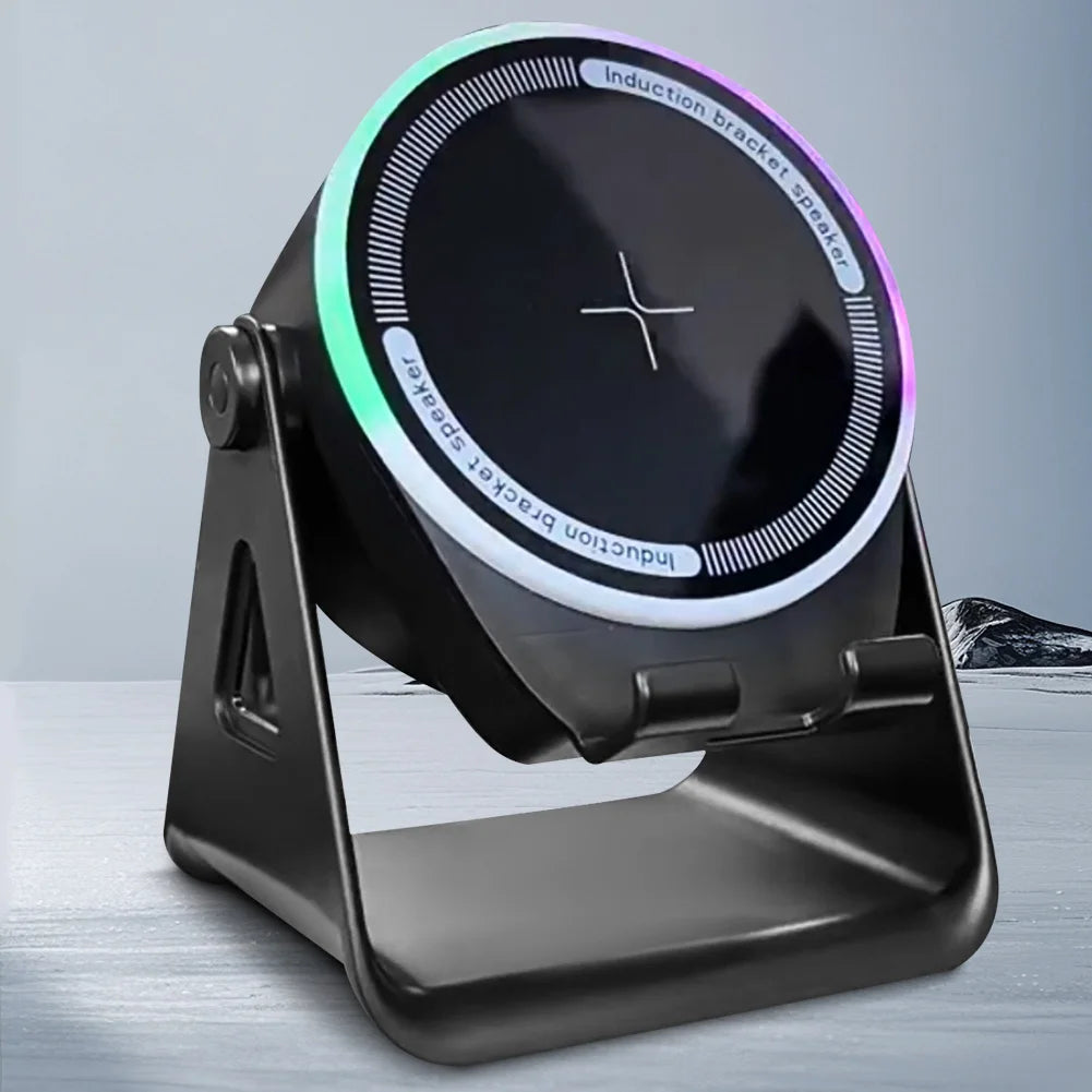 Wireless Induction Speaker, Bluetooth, Home and Outdoors
