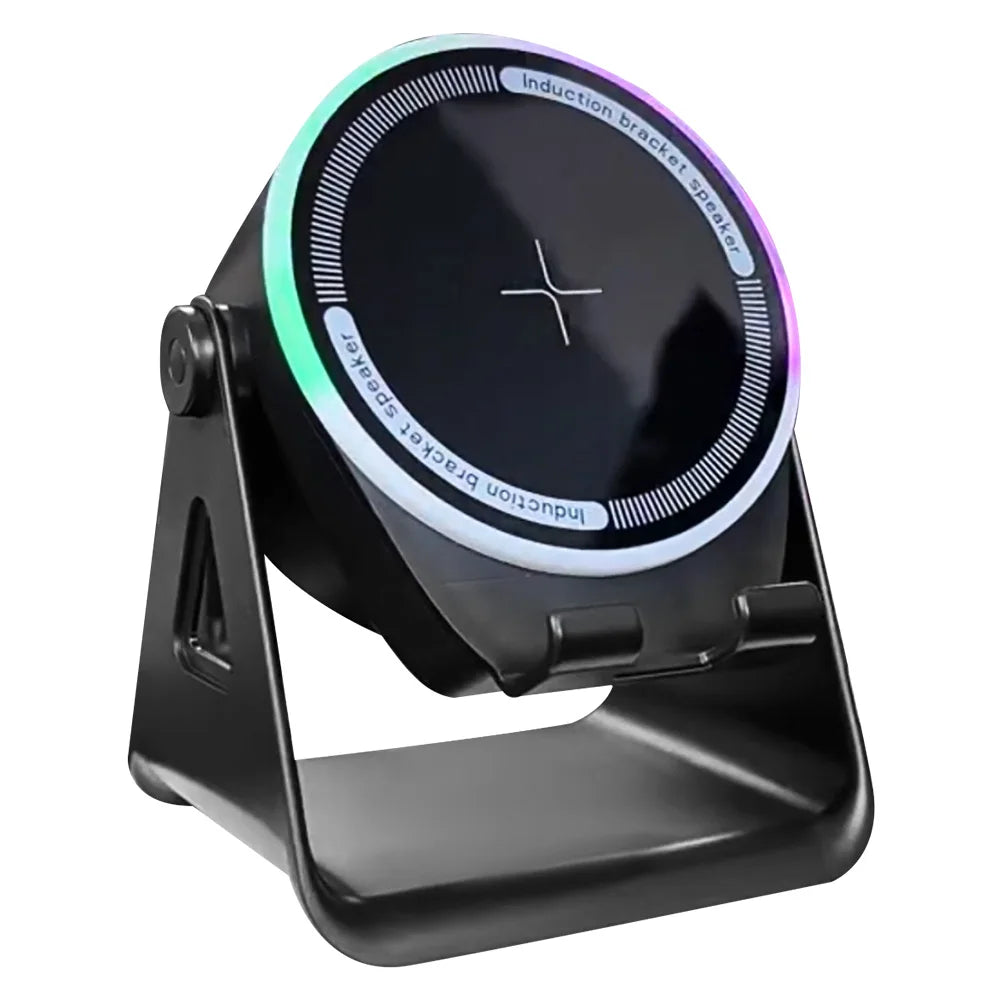 Wireless Induction Speaker, Bluetooth, Home and Outdoors