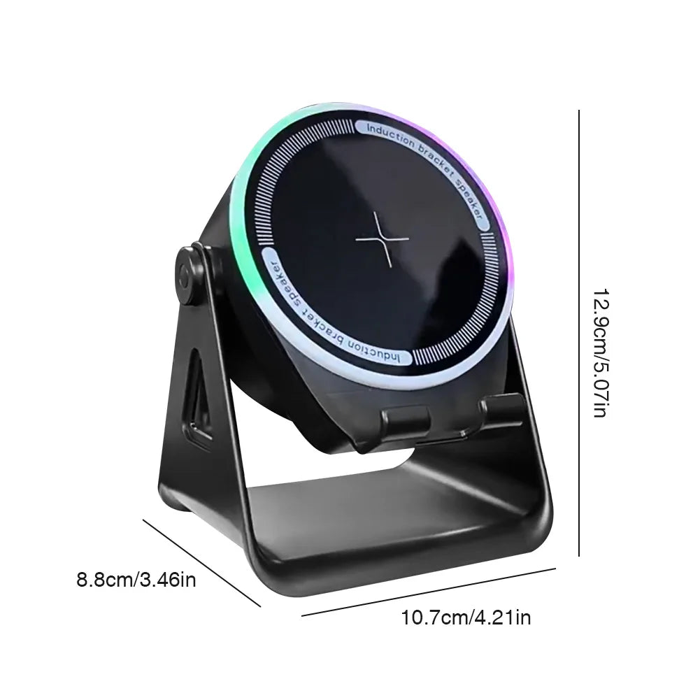 Wireless Induction Speaker, Bluetooth, Home and Outdoors